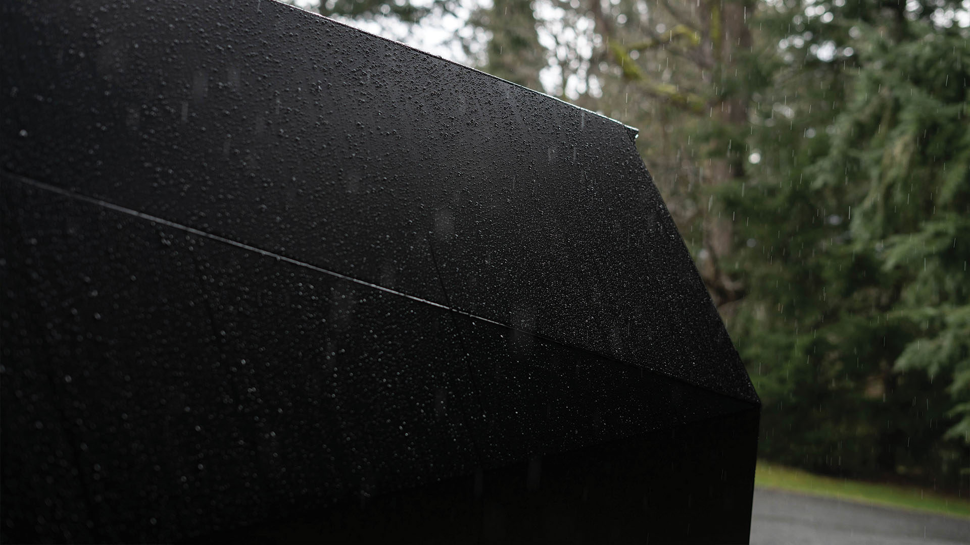 The Cap in the rain